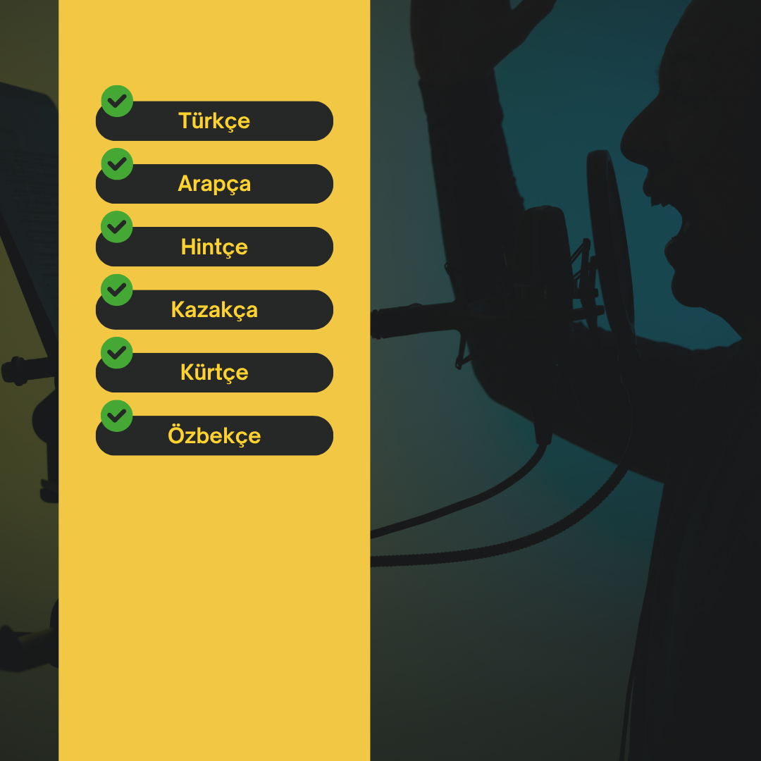 Seslendirme Stüdyosu